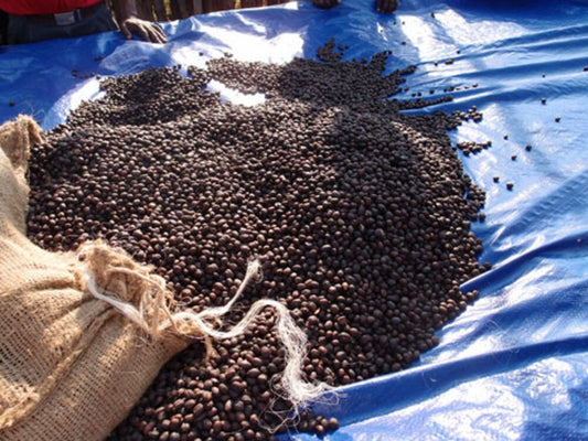 モカ・ブレンド(ピクシー)200g(シティロースト)