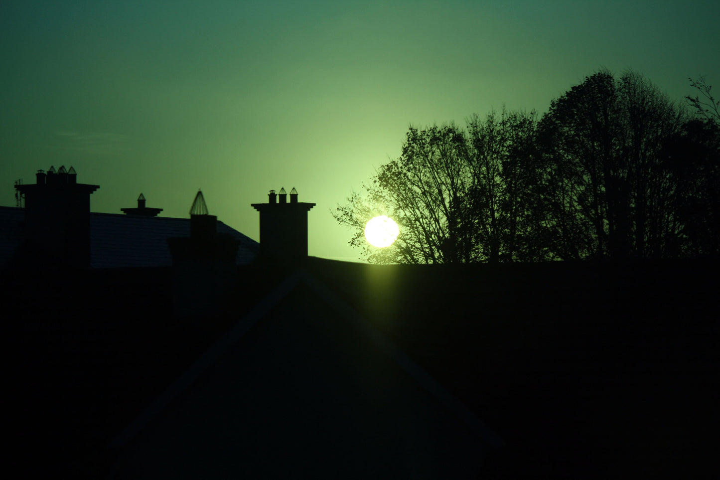 グァテマラ・ロスヘラセス農園 200g(アイスコーヒー用の豆)