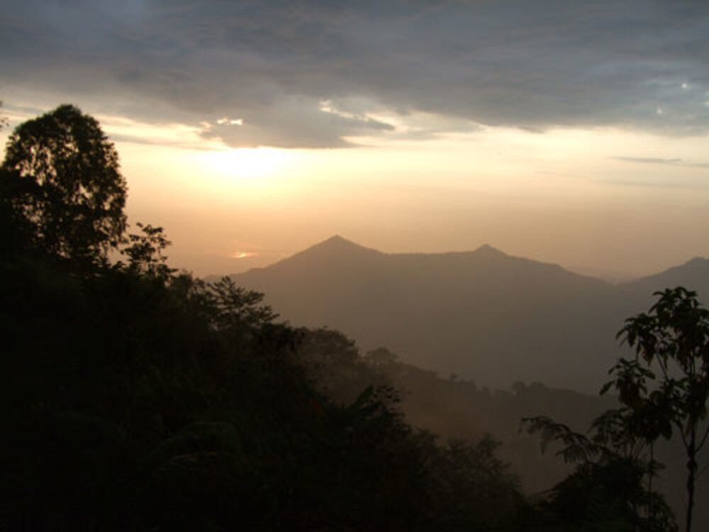 コロンビア・ロスブルカネス農園 200g(限定30セット)