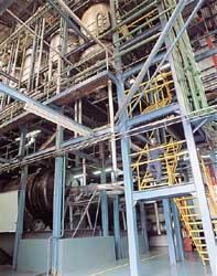 モカ・ギャルソ農園 カフェインレス 200g(シティロースト)