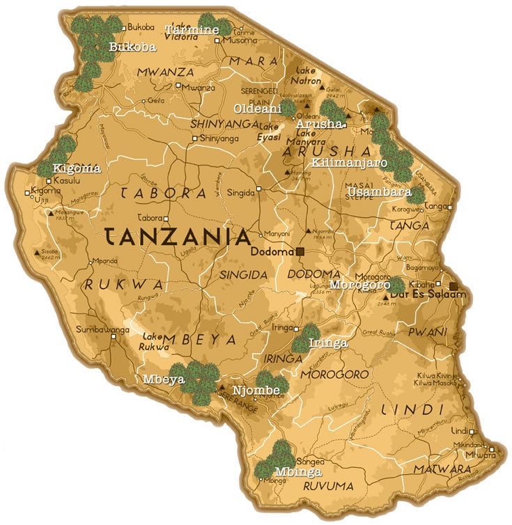 スマトラマンデリン・ブルー・リントン 200g(フルシティロースト)めちゃめちゃ美味しい