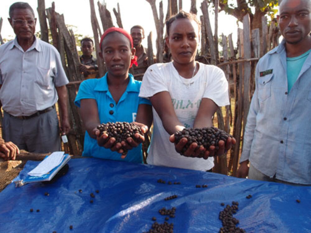 シティロースト