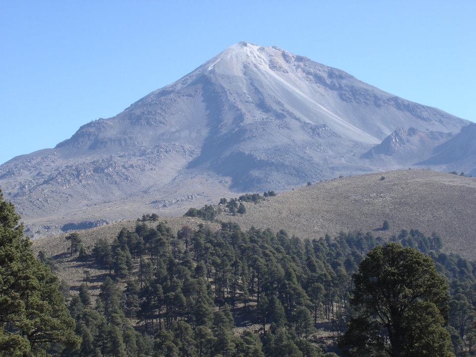 モカ・ギャルソ農園 カフェインレス 200g（シティロースト）