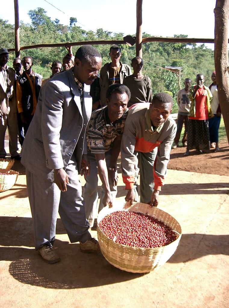 エチオピア・ウェギッダーブルー農園 200g（シティロースト）新作 / 限定120 kg