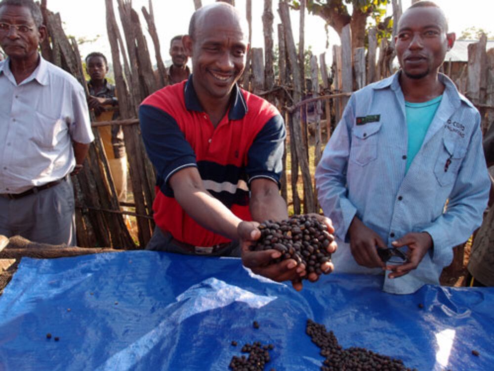 モカ・ブレンド（ピクシー）200g（シティロースト）