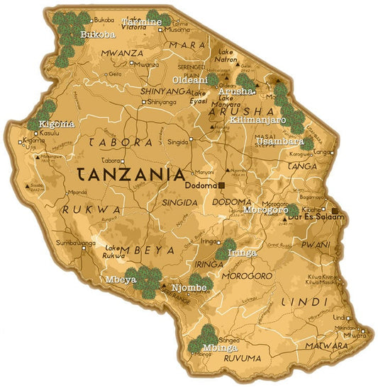 スマトラマンデリン・ブルー・リントン 200g（フルシティロースト）めちゃめちゃ美味しい