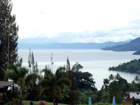 マンデリン・リントン・トバコ 200g